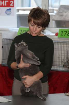 �������� ����� '������� ���-�����' 30 ������-1 ������� 2013., ������������ ��� 2236